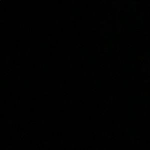 Meet your Posher, Ray